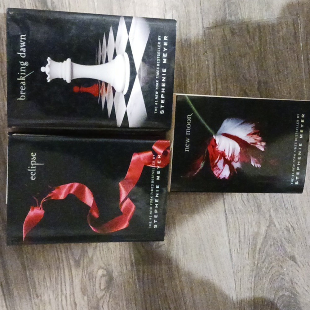 Twilight Saga Book Set
